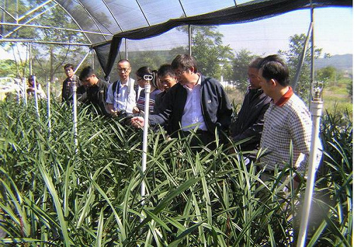 华南植物园科研人员赴广东翁原县开展兰花科技扶农--中国科学院